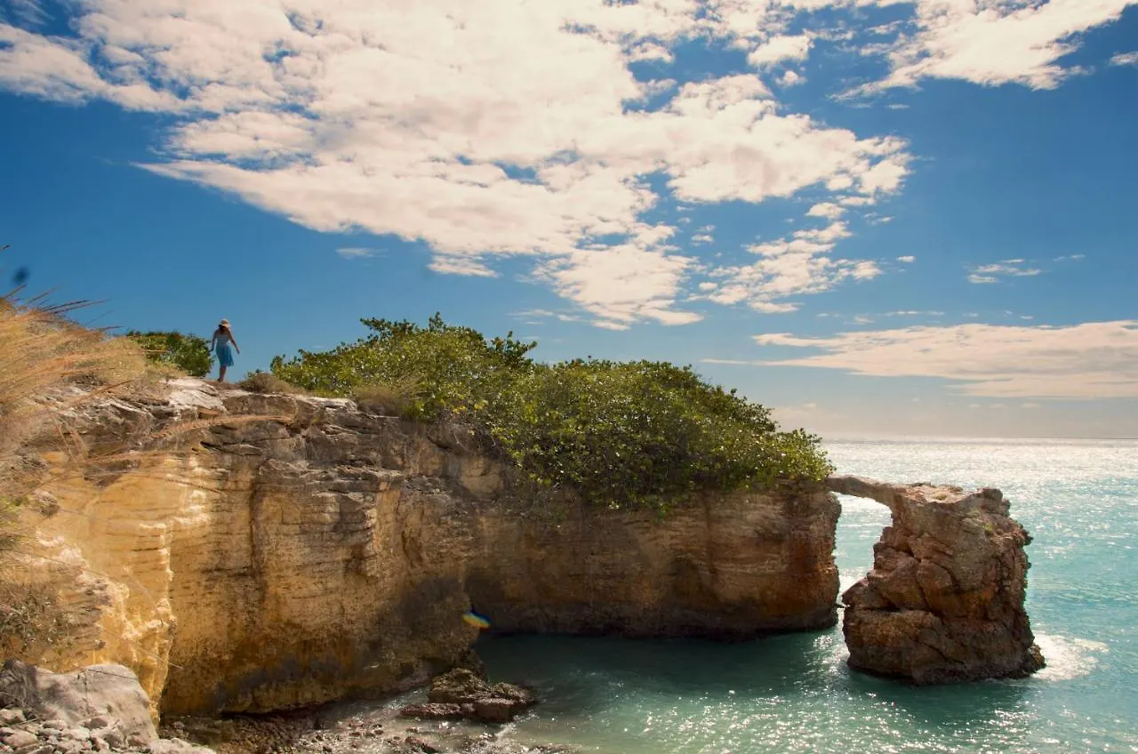 Atoas - Lovely Vacation Retreat With Pool And Barbecue 5 Min To Boqueron And Beaches カボ・ロホ