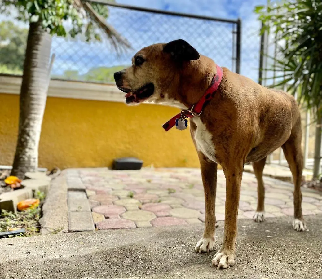 Atoas - Lovely Vacation Retreat With Pool And Barbecue 5 Min To Boqueron And Beaches Cabo Rojo Apartamento
